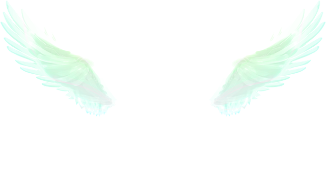 Ajeeth Boaz Photography
